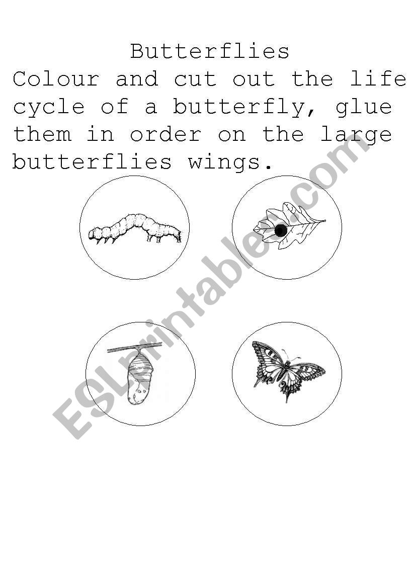 Butterfly- Life cycle worksheet