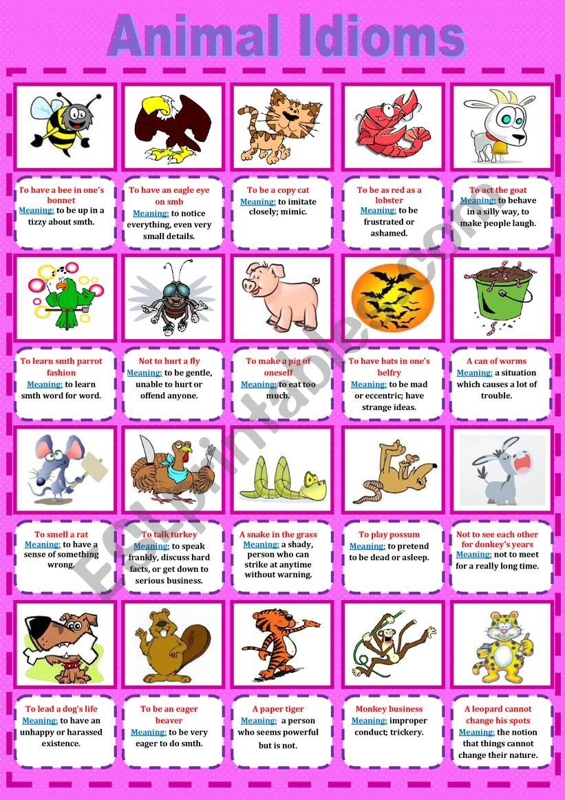 Animal idioms worksheet