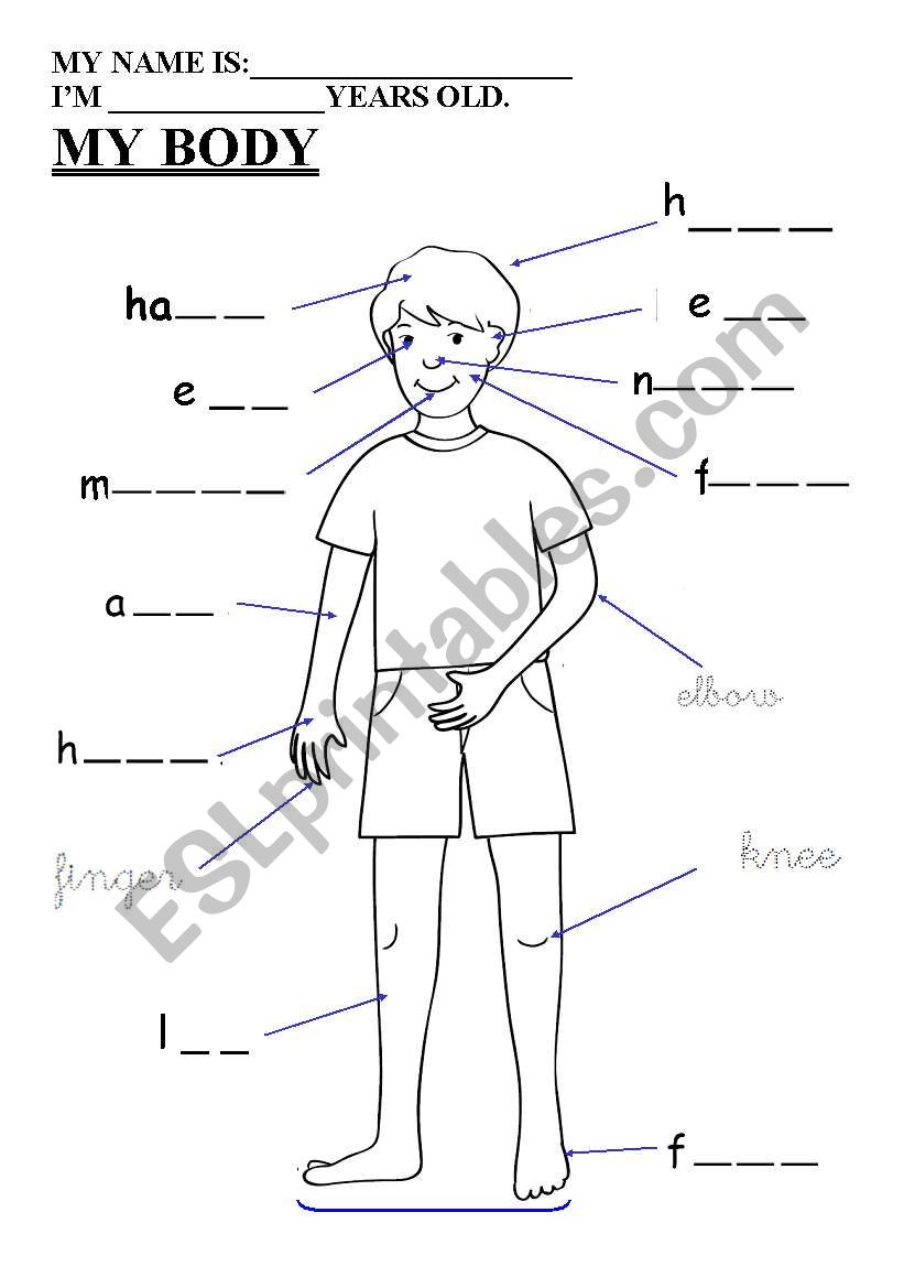 Revision body, colours and weather