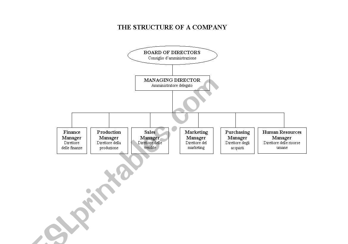 The STRUCTURE of a COMPANY worksheet