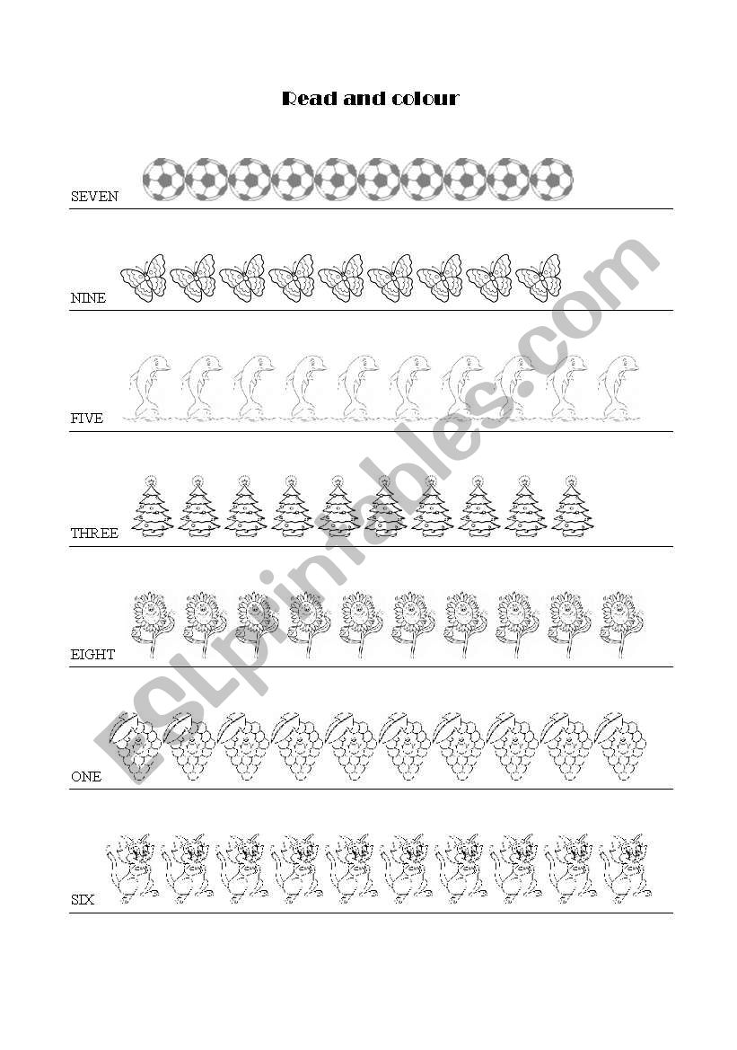 read and colour worksheet