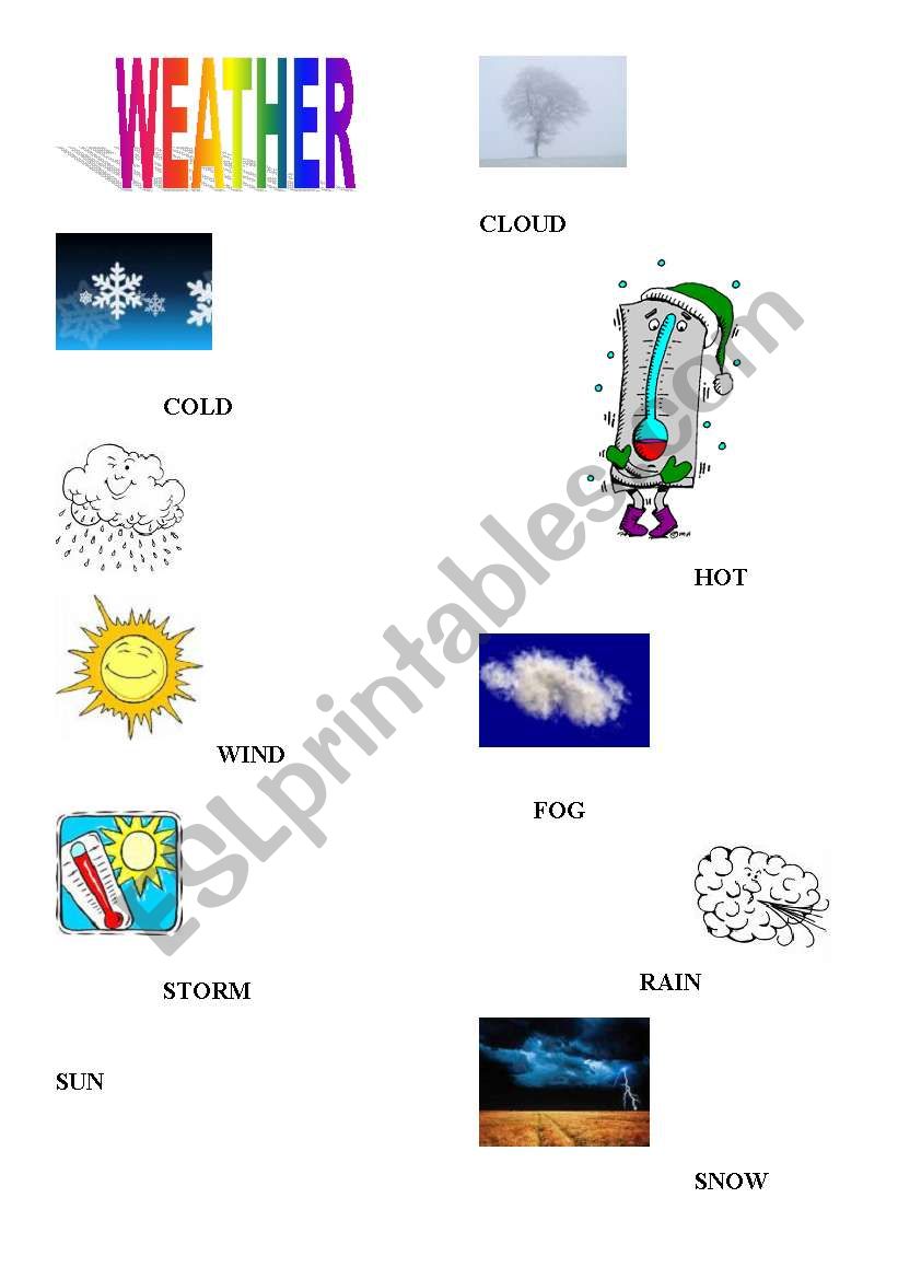 Weather worksheet