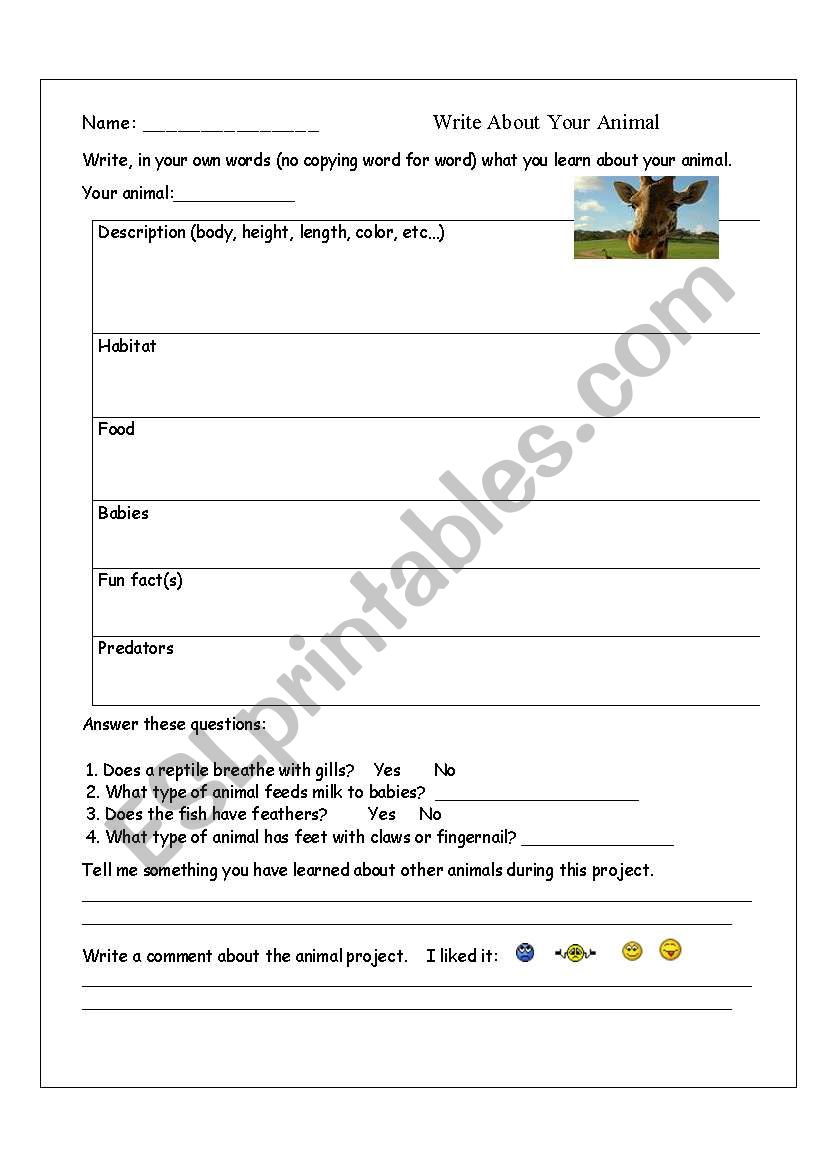 Write About Your Animal worksheet