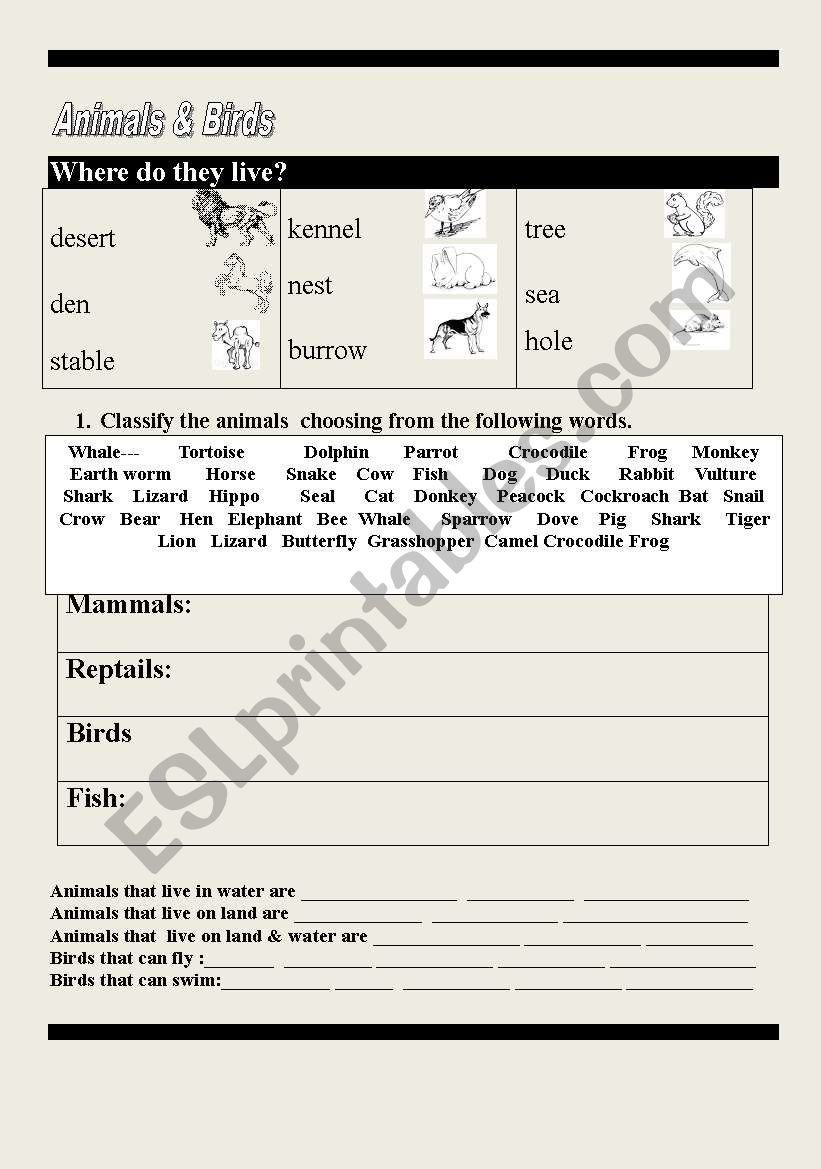 Animals  worksheet