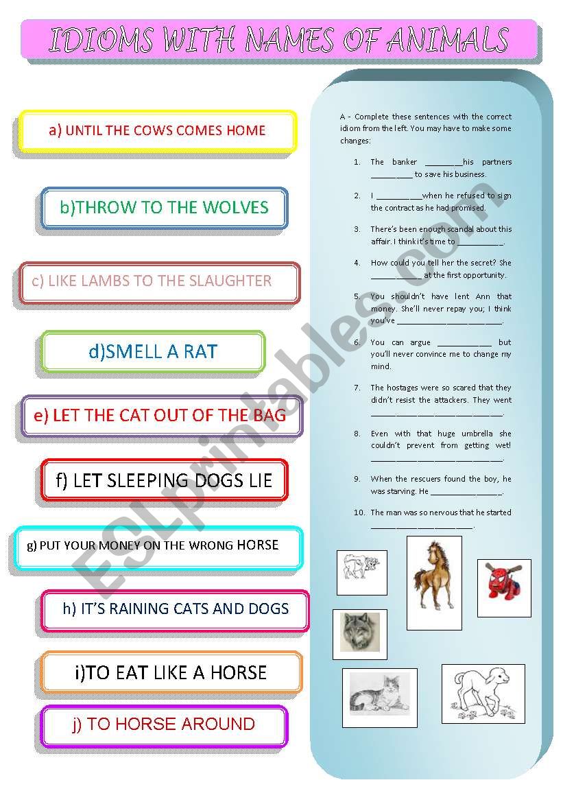 IDIOMS WITH NAMES OF ANIMALS worksheet