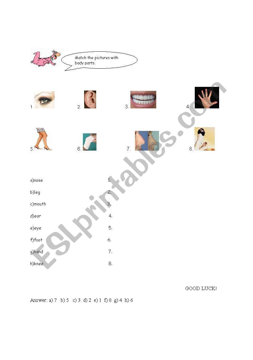 Body Parts worksheet