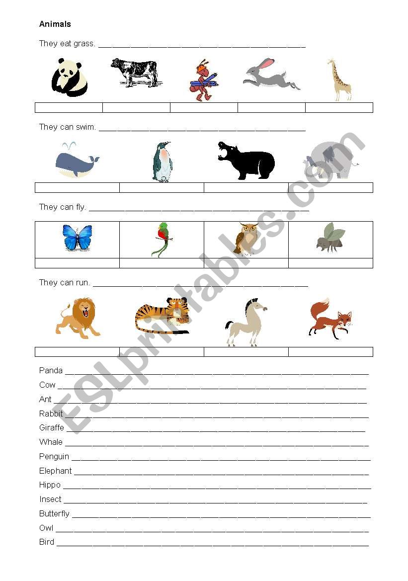 Animals  worksheet