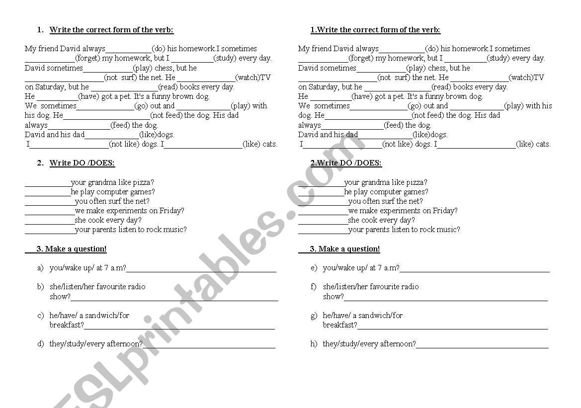 present simple worksheet