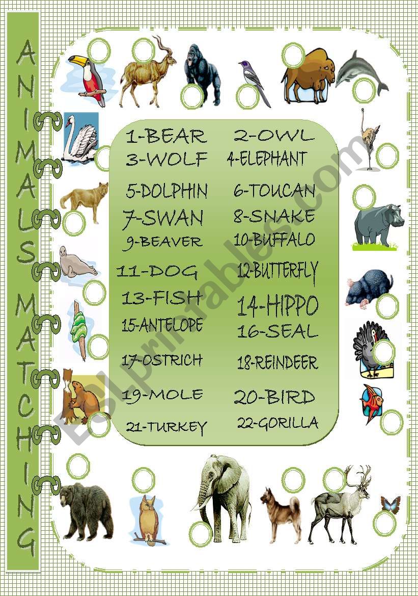 Animals Matching worksheet