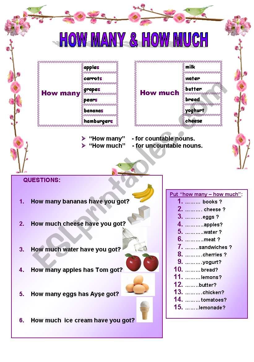 HOW MANY - HOW MUCH worksheet