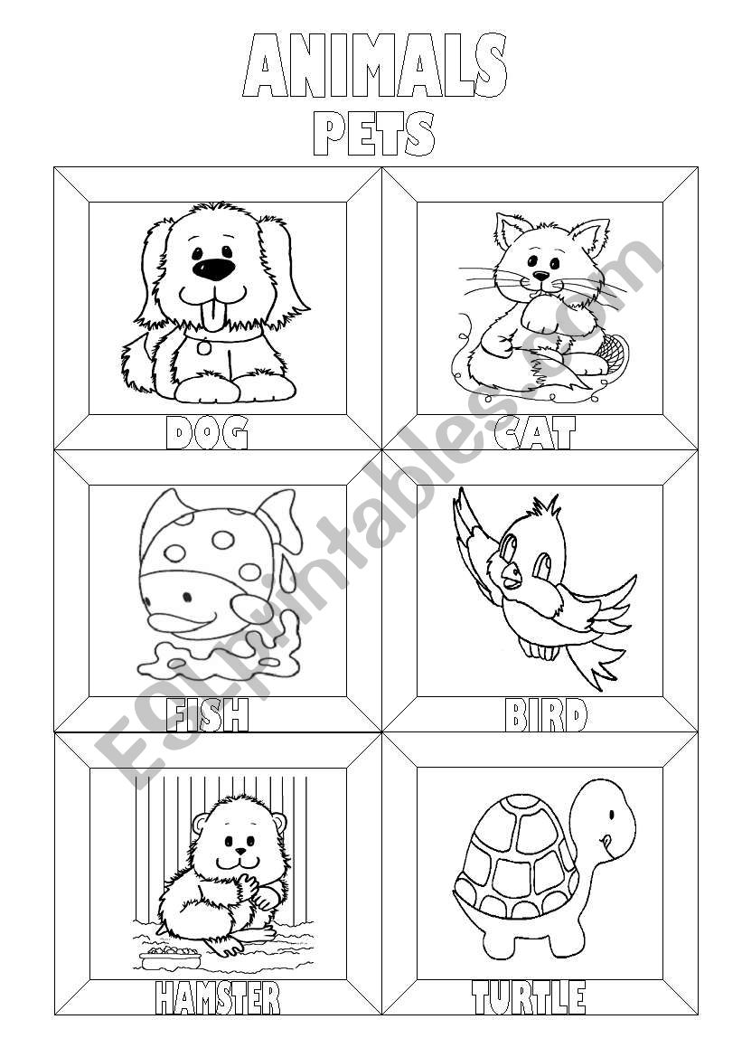 Animals Colouring Pictionary (3 pages)