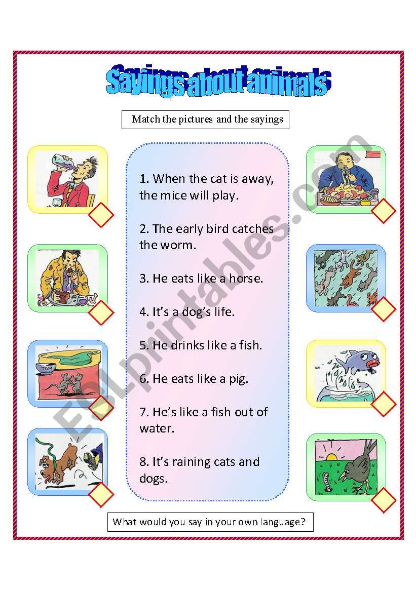 Sayings about animals worksheet