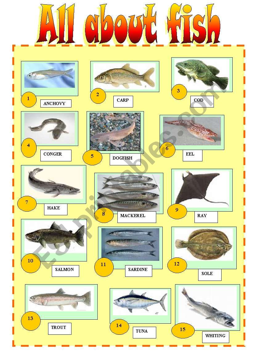 ALL ABOUT FISH worksheet