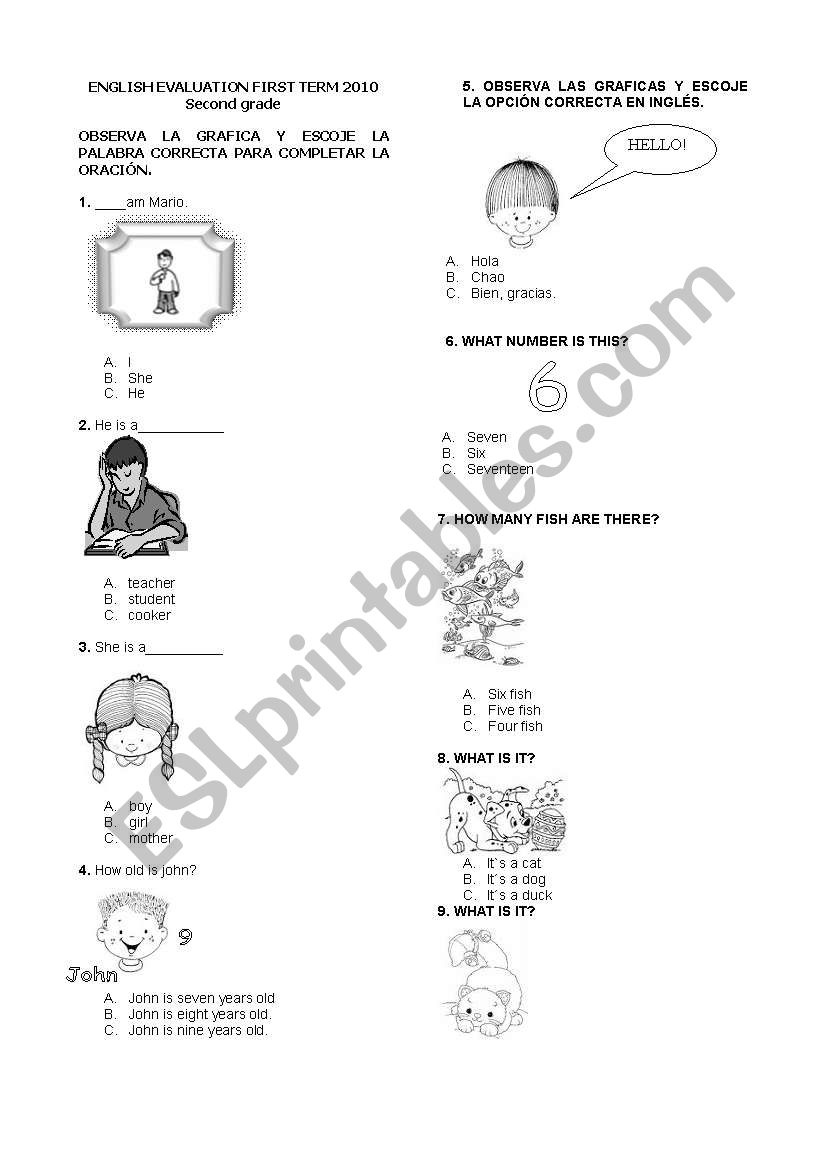 ENGLISH TEST FOR BEGINNERS worksheet