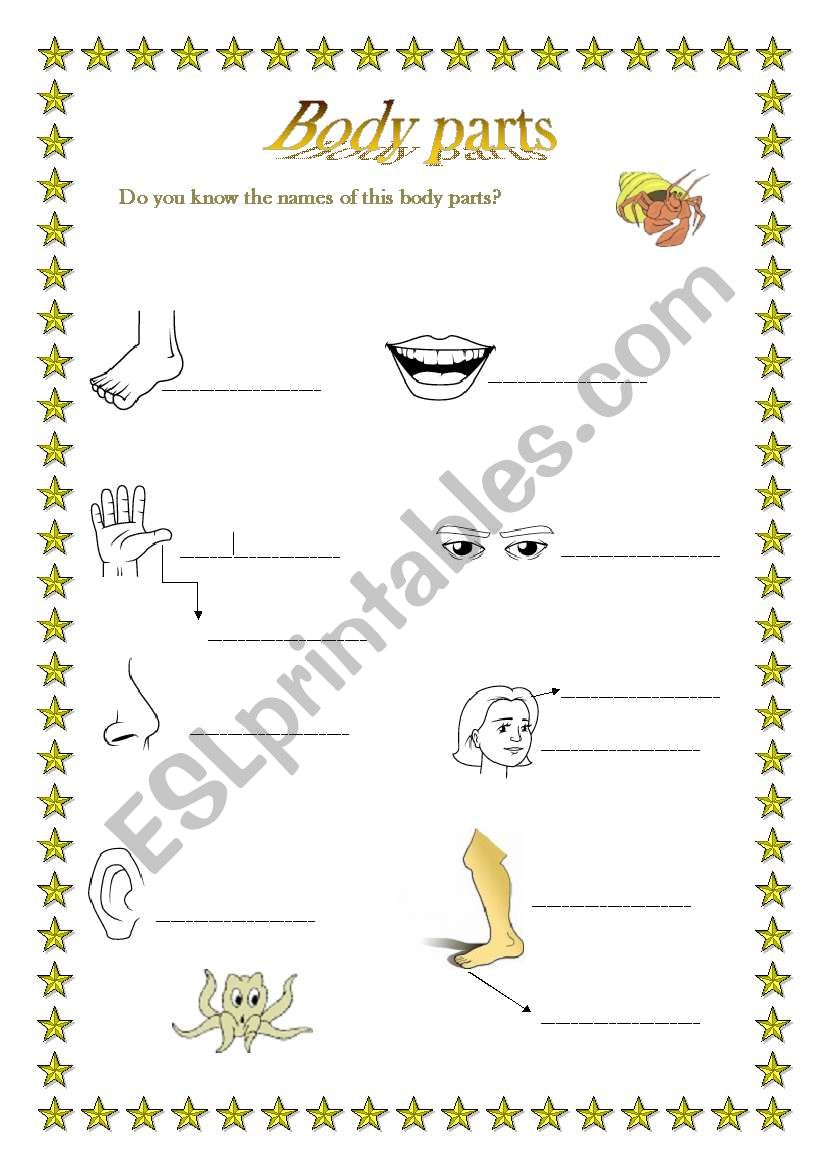 All about describing people worksheet
