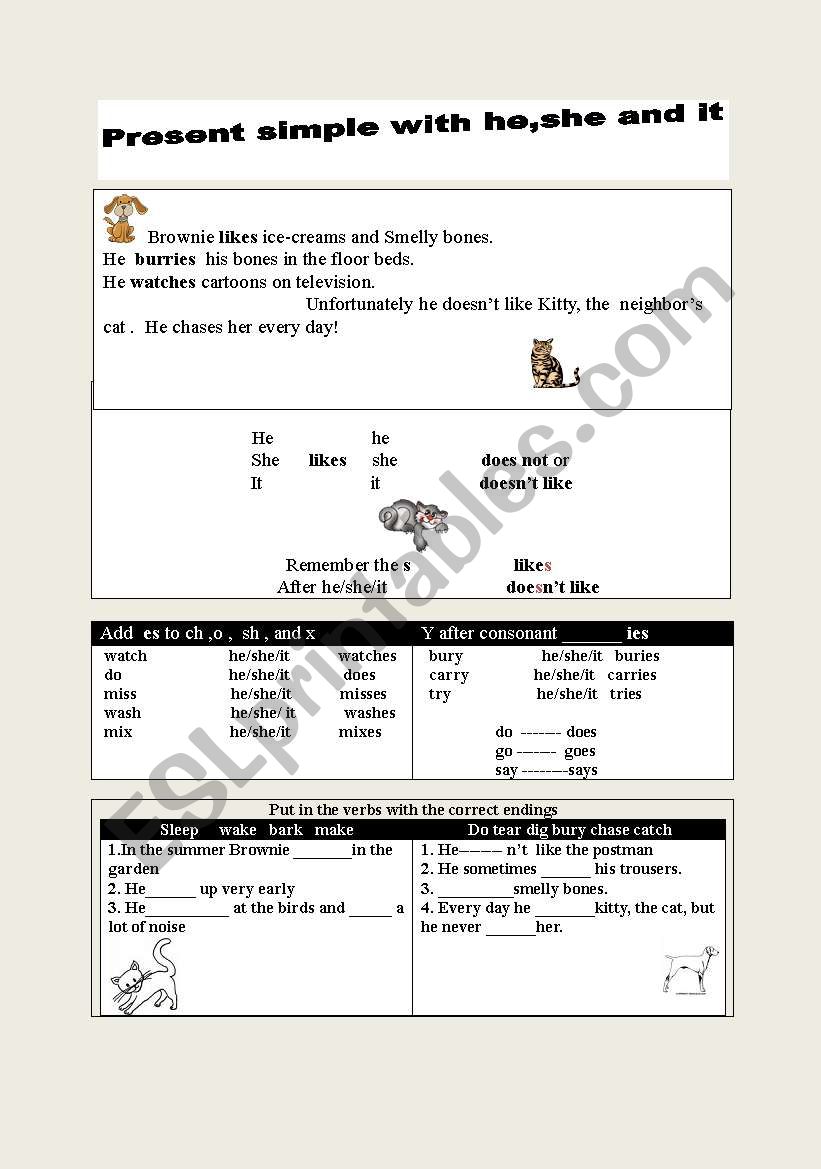 Present simple worksheet