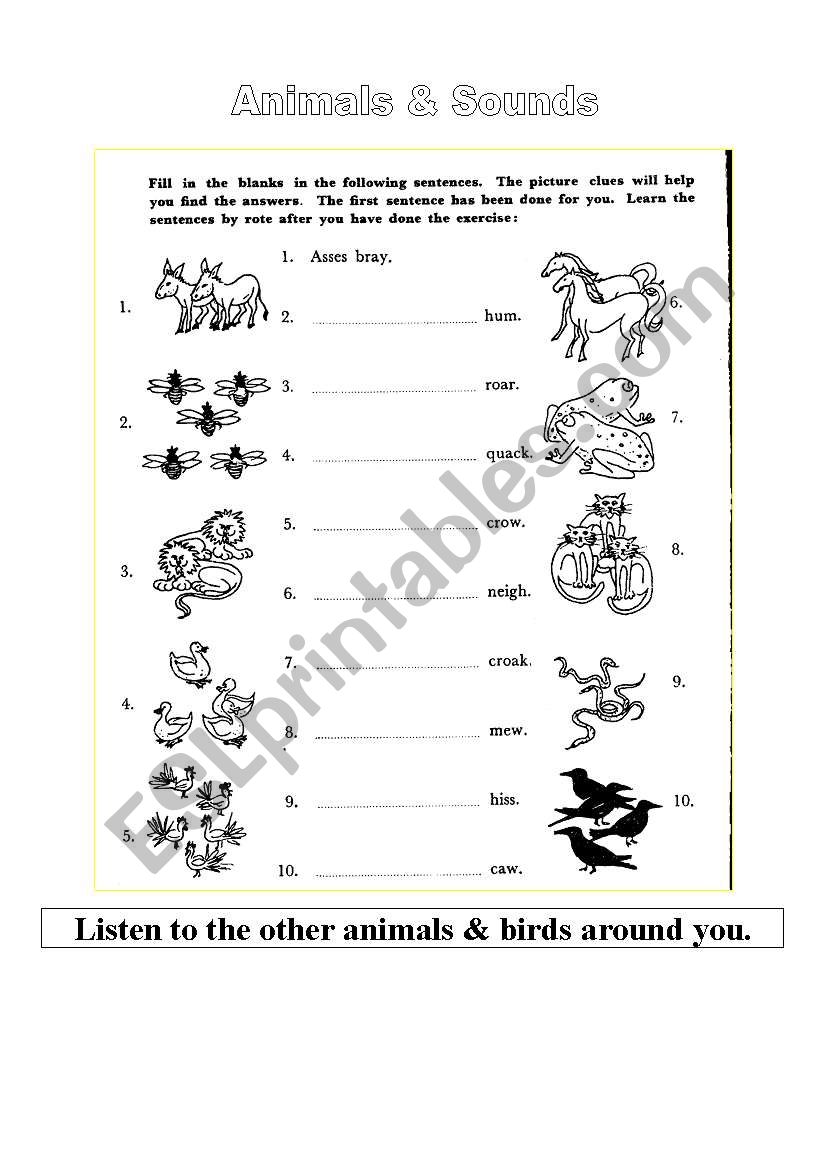 What do the animals say? worksheet