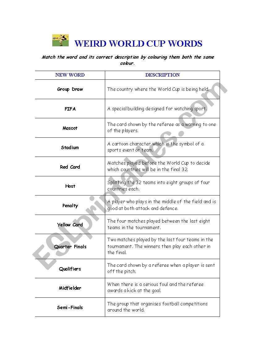 Important Soccer Words worksheet