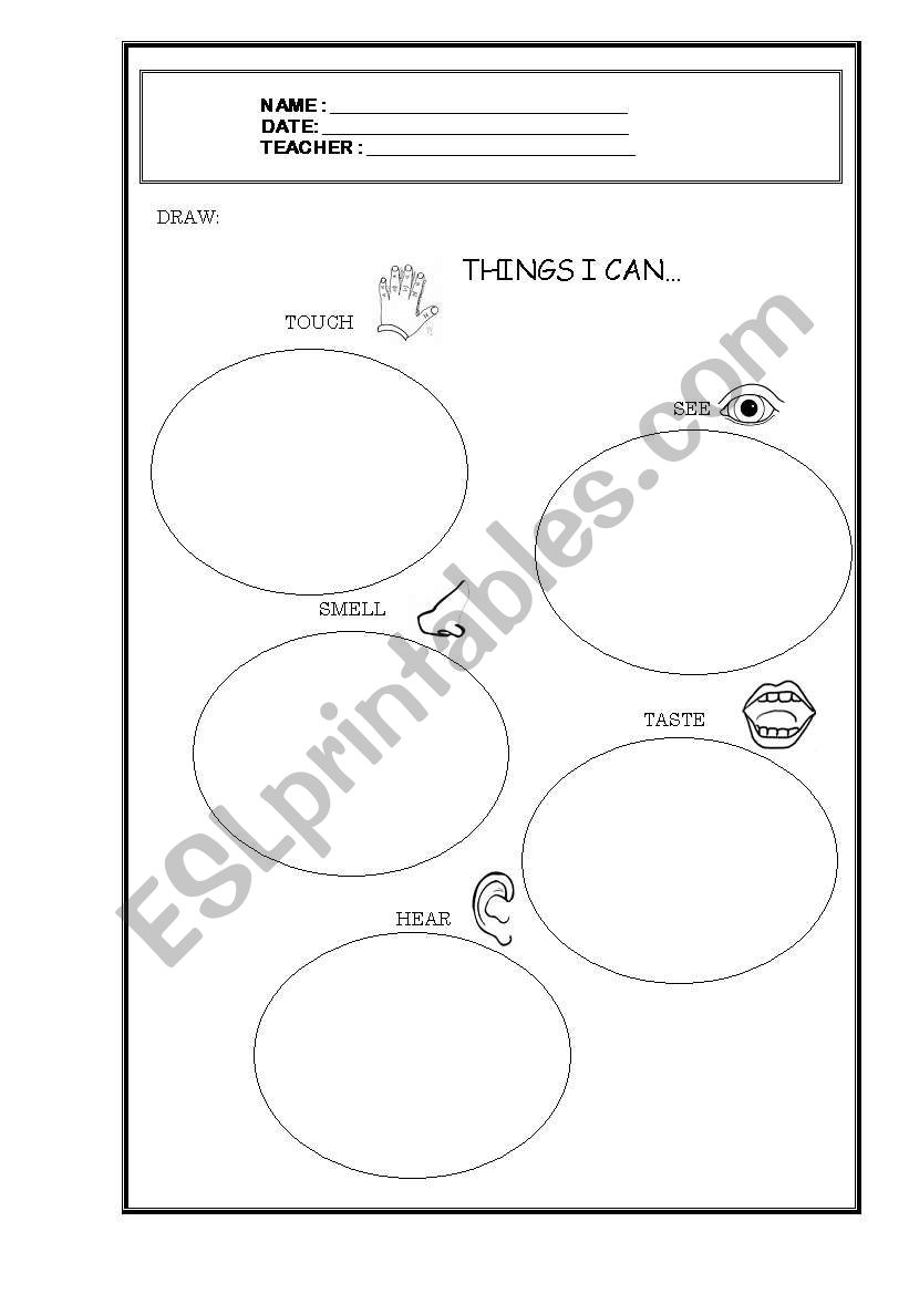 Five senses worksheet