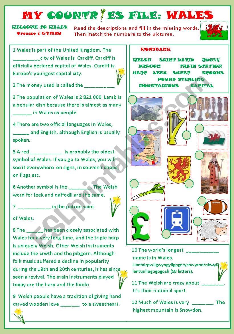 My Countries File: Wales worksheet