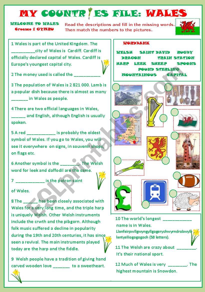 My Countries File: Wales worksheet