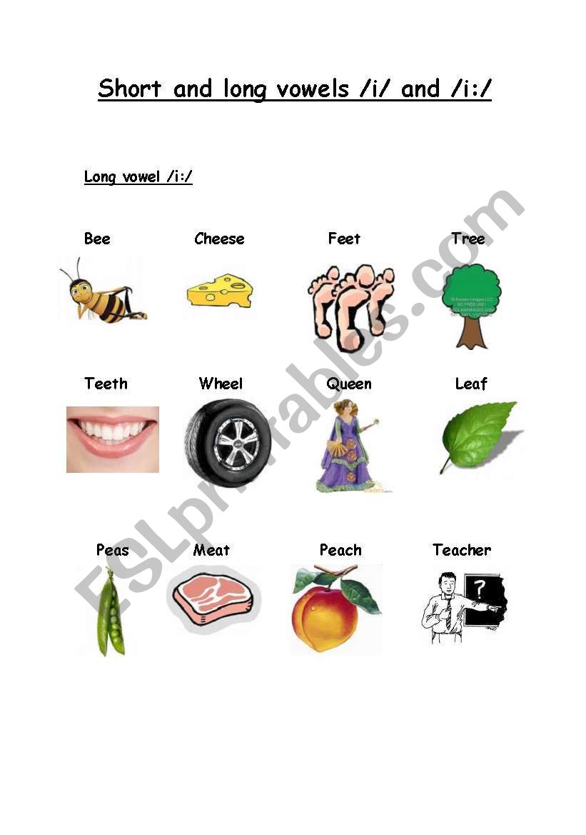 Long and short vowels /i:/ and /i/