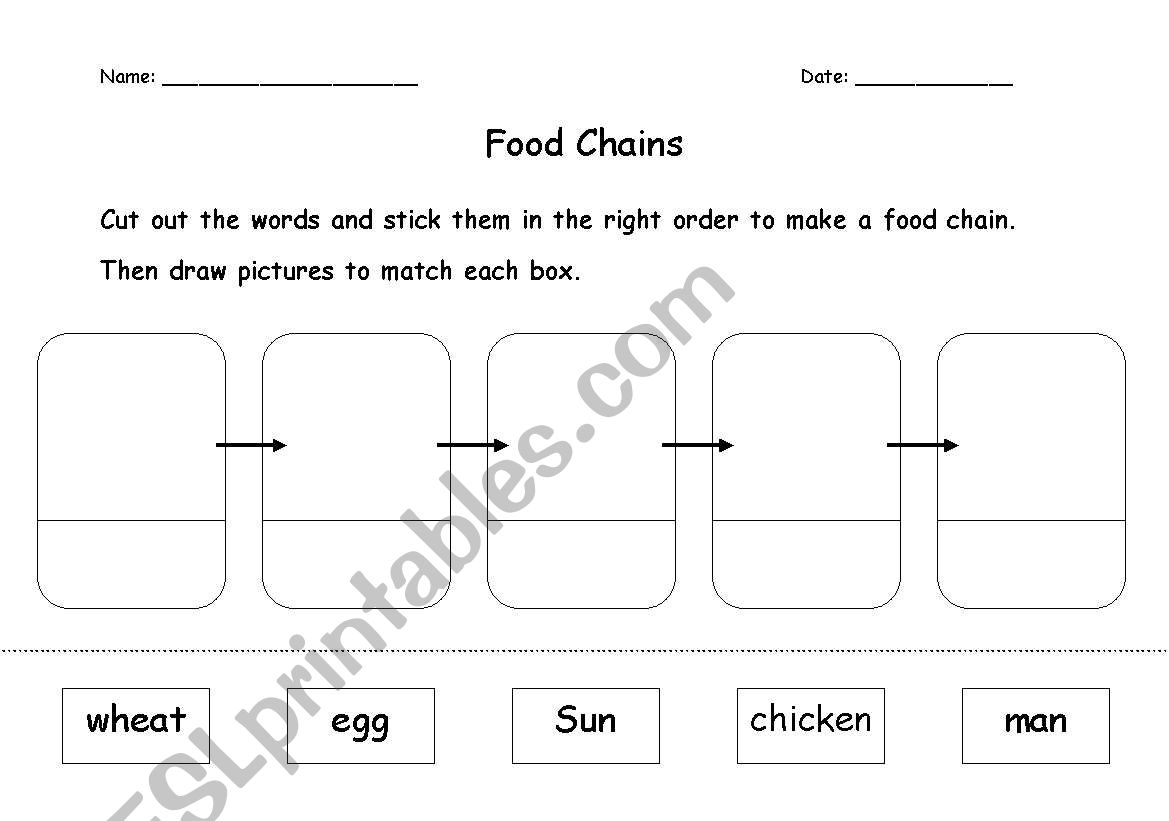 Food Chains - chicken to egg to man