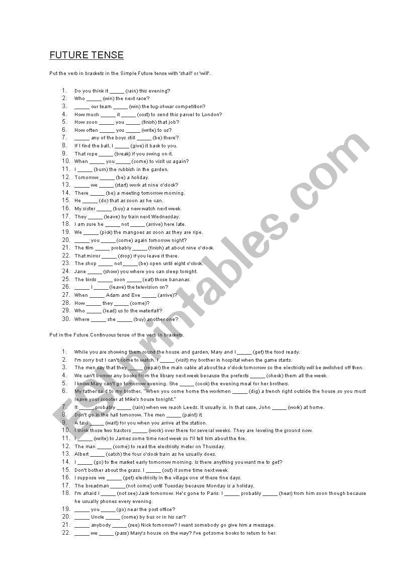 future tense worksheet