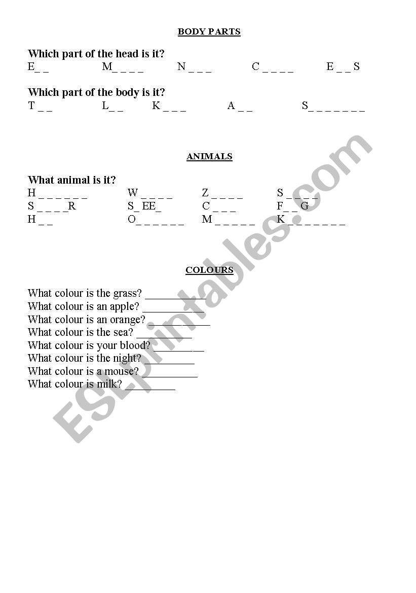 body and colours worksheet