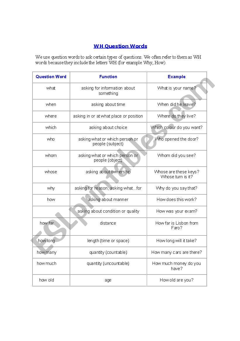 Grammar - wh questions worksheet