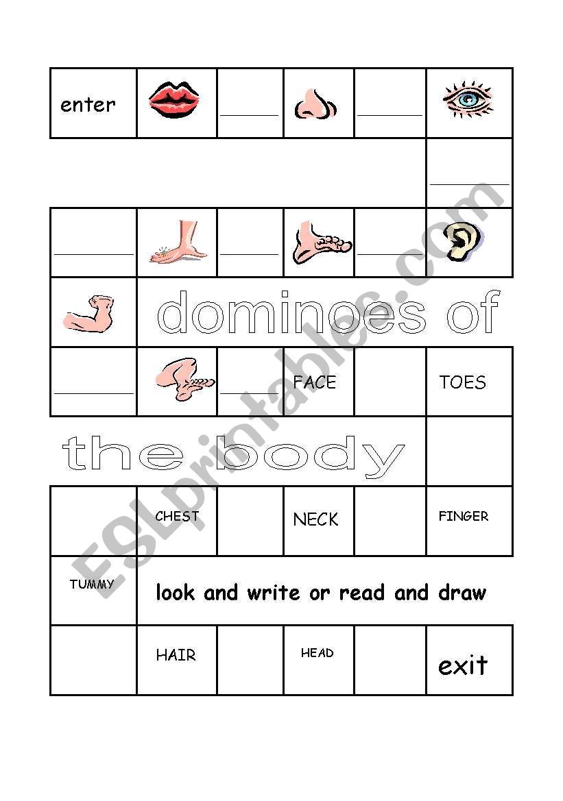 body dominoes worksheet