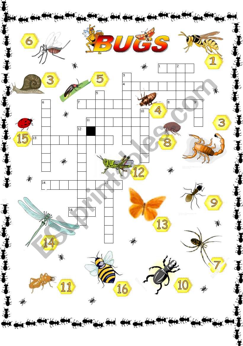 Crosswords _ Bugs worksheet