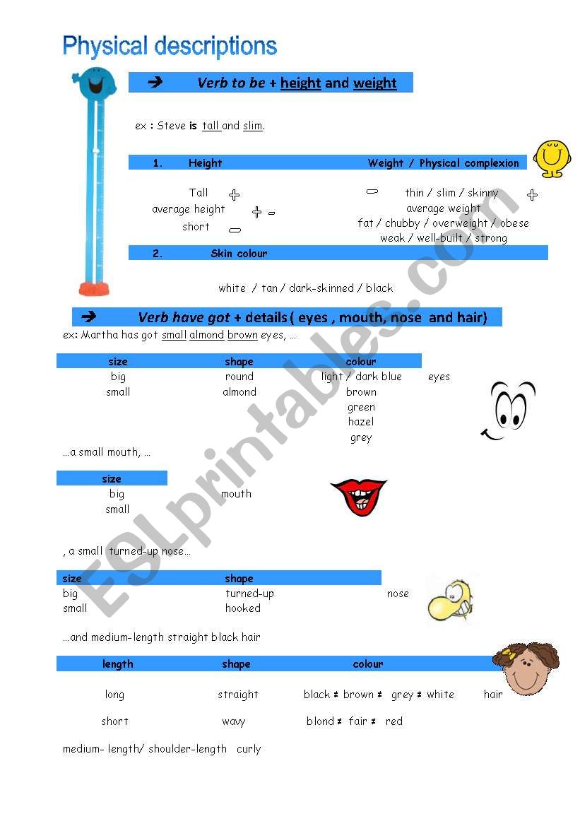 Physical description worksheet