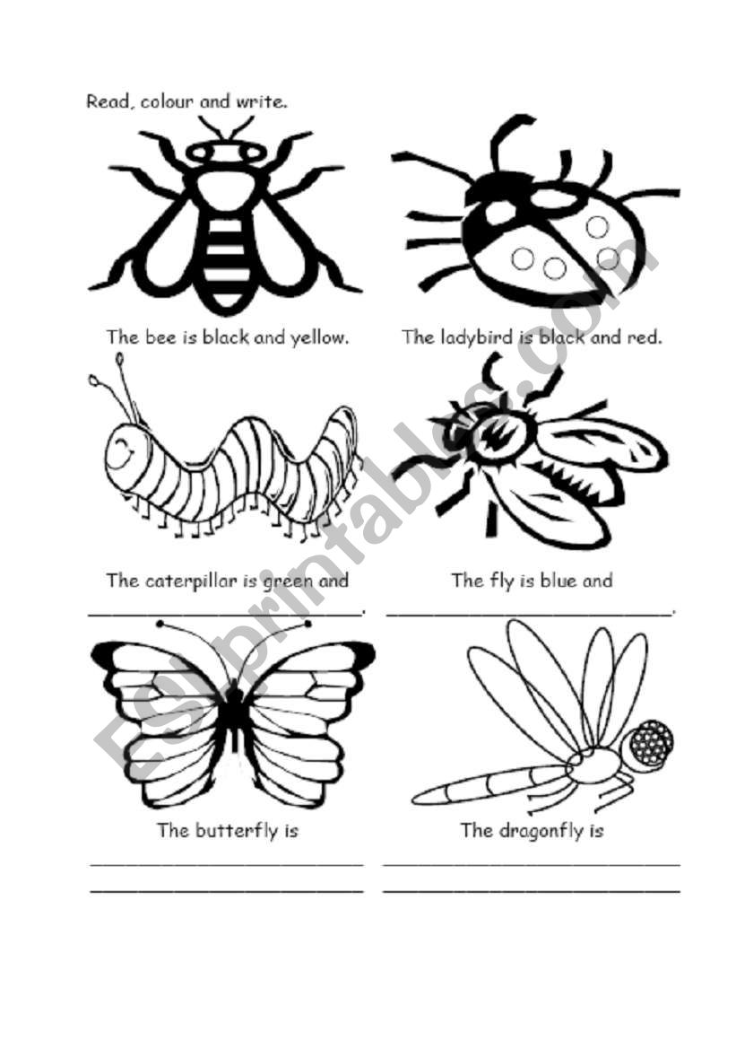 Color the insects  worksheet