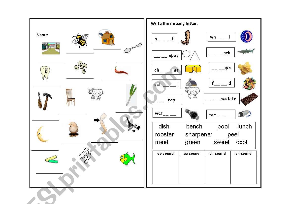 phonic worksheet