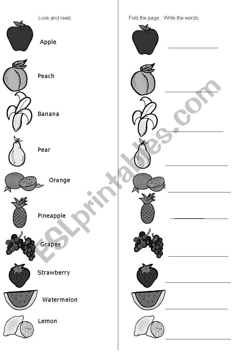 fruit writing practice worksheet