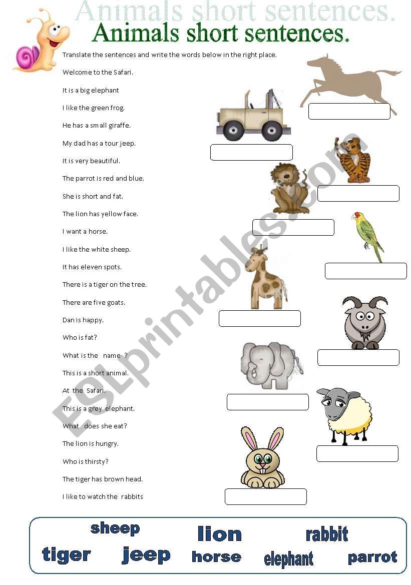 animals worksheet