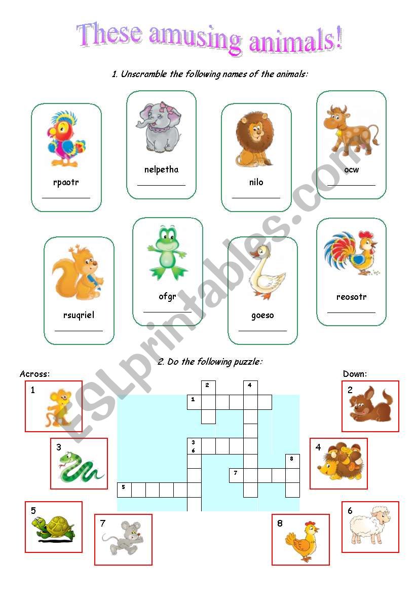 Amusing Animals worksheet