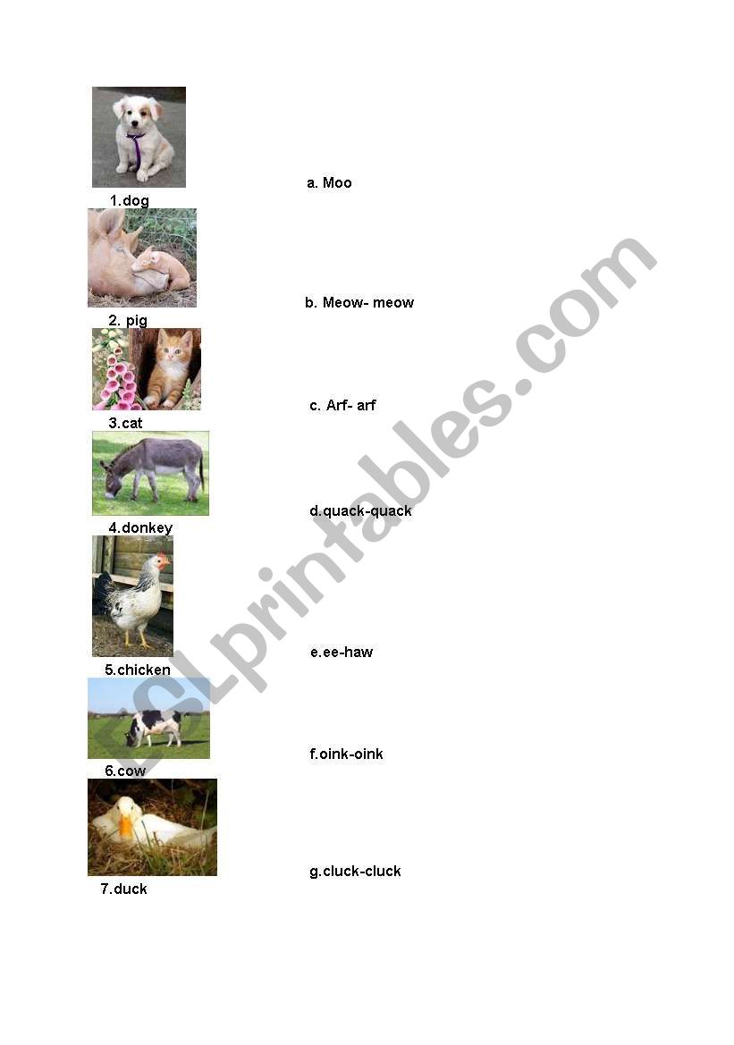 animals worksheet