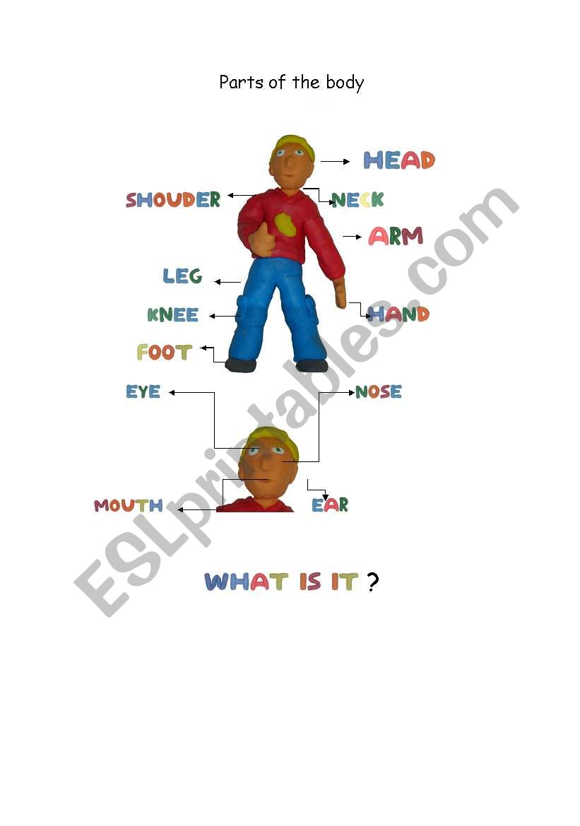 Parts of the body worksheet