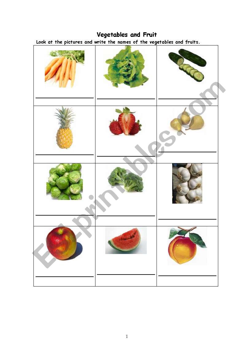 vegetables and fruit worksheet