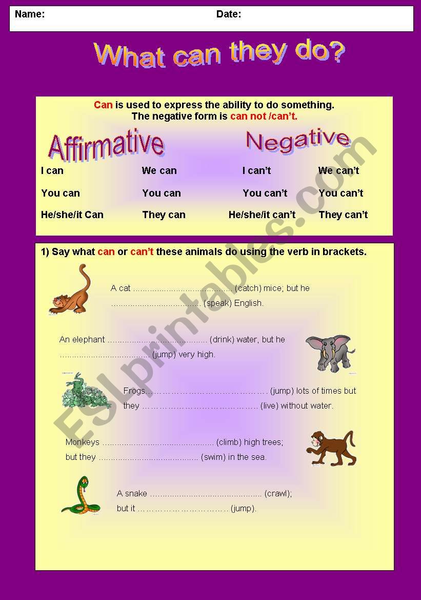 What can they do? Animals worksheet