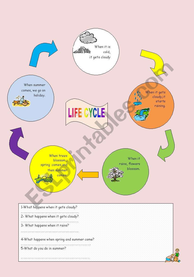 Life cycle- when worksheet