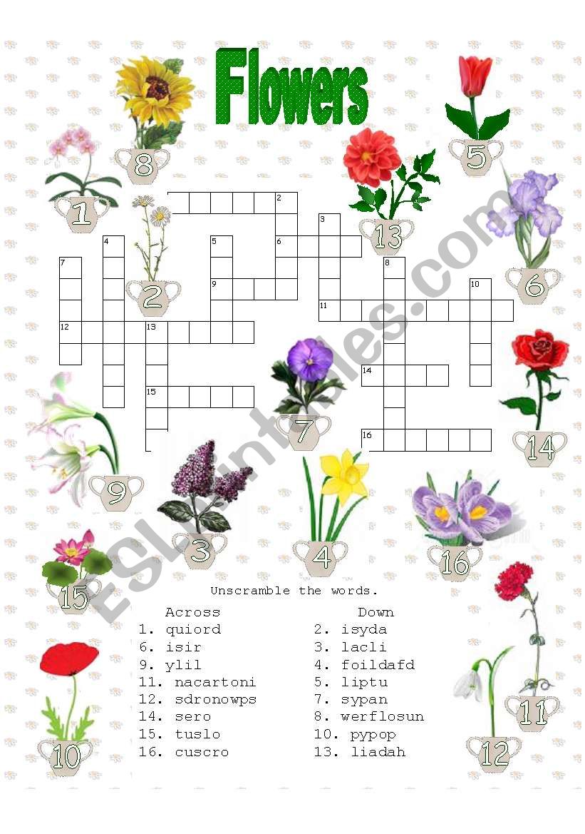 Crosswords Flowers Esl Worksheet By