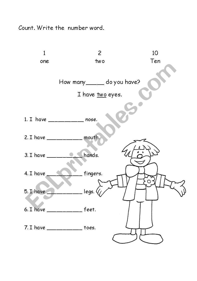 Numbers and parts of the body worksheet