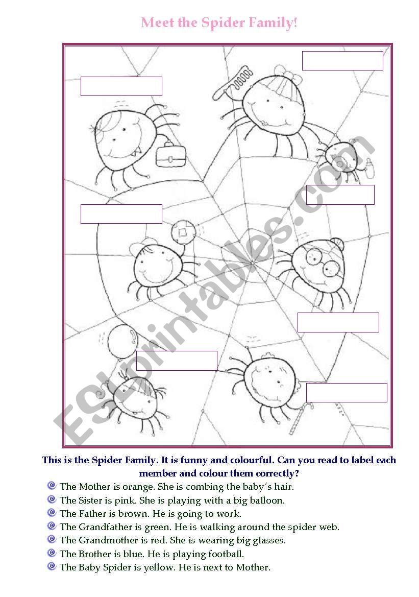 Meet the Spider Family worksheet