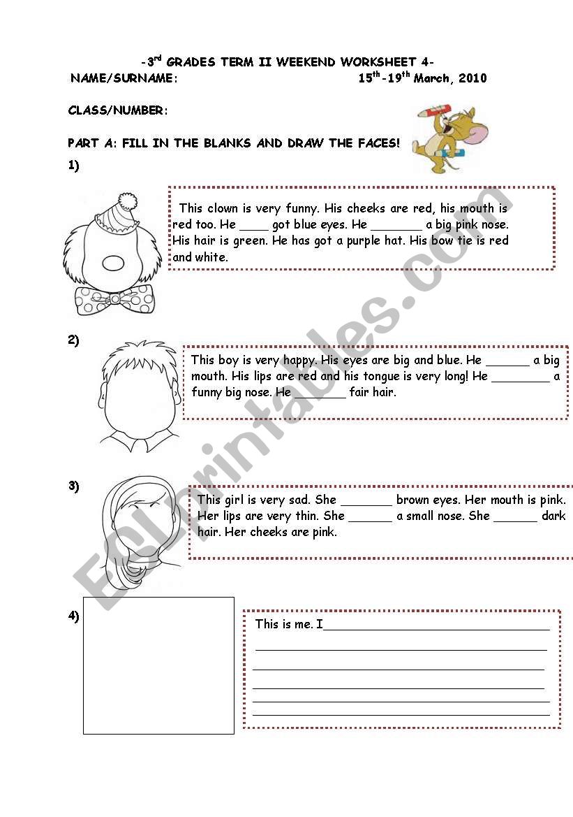 HAVE GOT/HAS GOT WORKSHEET worksheet