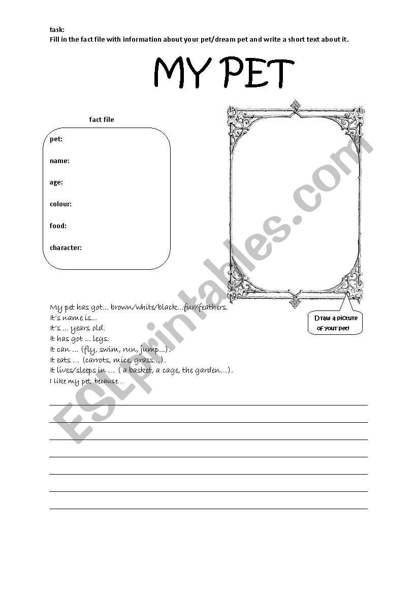 My pet worksheet