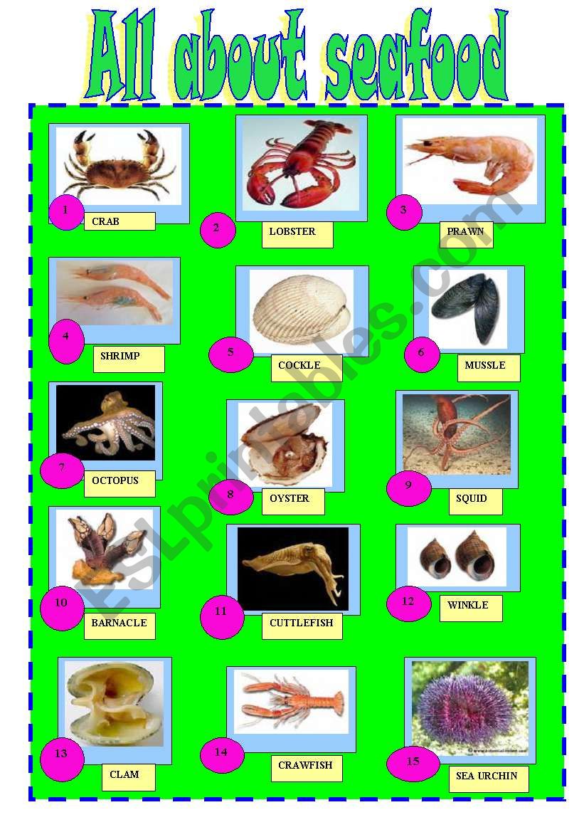 SEAFOOD worksheet