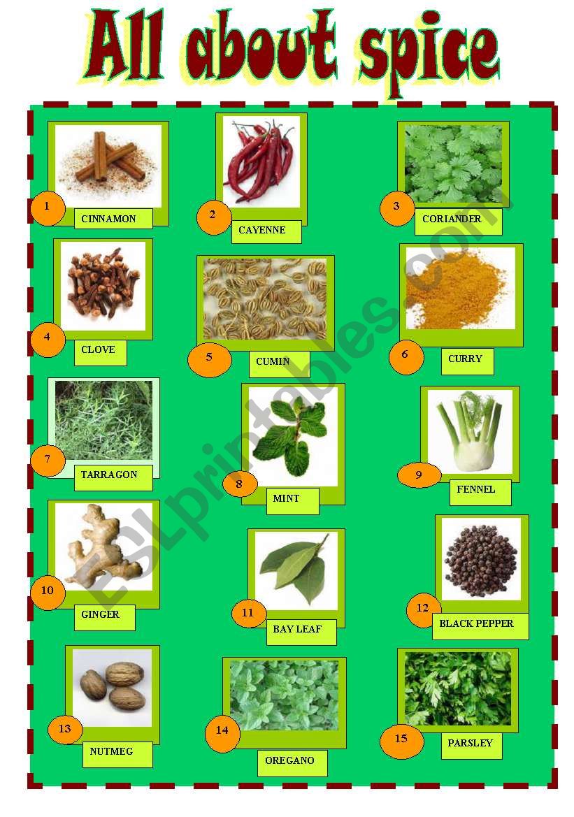 SPICES worksheet